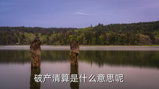 破產(chǎn)清算，破產(chǎn)與法人清算