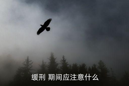 緩刑期間