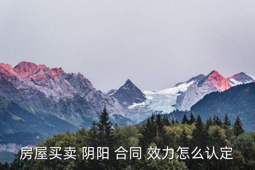 如何判斷陰陽(yáng)合同的效力,民法典陰陽(yáng)合同效力認(rèn)定