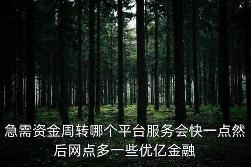優(yōu)億金融，在優(yōu)億金融上資料審核通過了多久款項(xiàng)到賬