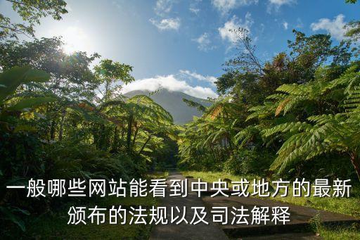 一般哪些網(wǎng)站能看到中央或地方的最新頒布的法規(guī)以及司法解釋