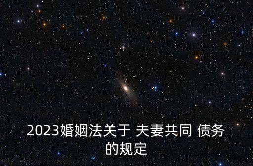 2023婚姻法關(guān)于 夫妻共同 債務(wù)的規(guī)定