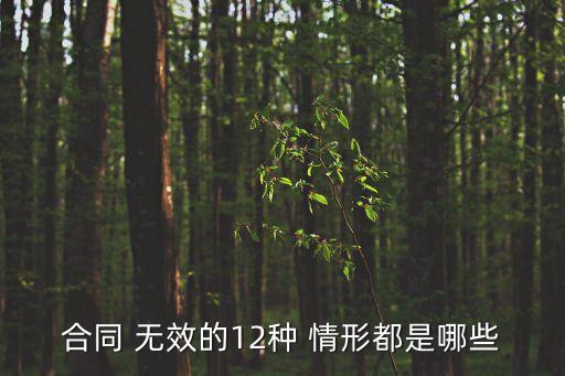 合同 無效的12種 情形都是哪些