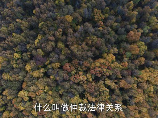 法律仲裁，法律問題關于仲裁的