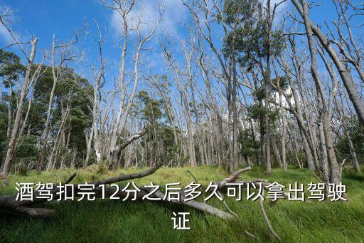 酒駕后20天拿回駕駛證，酒駕考試通過后多長時間拿駕駛證