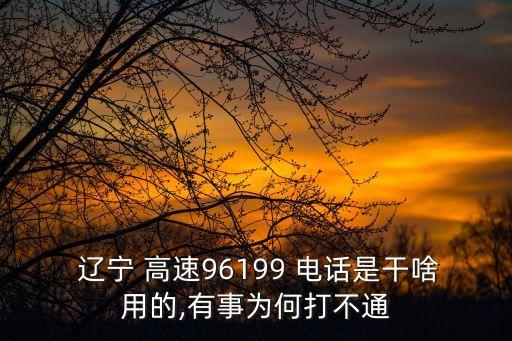  遼寧 高速96199 電話是干啥用的,有事為何打不通