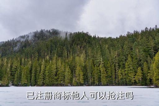 搶注商標(biāo)，商標(biāo)搶注是什么