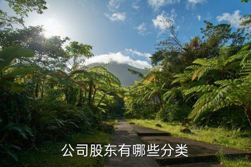 股東類型，公司股東有哪些分類