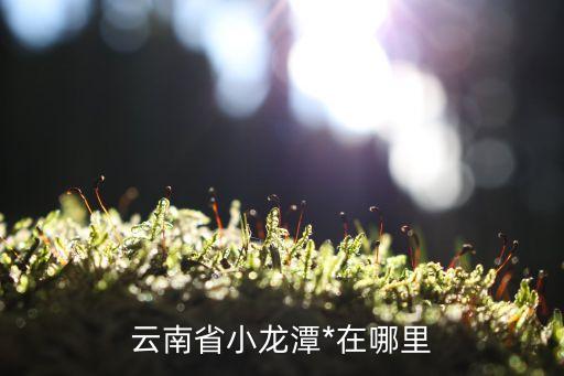 小龍?zhí)?，云南省小龍?zhí)?在哪里