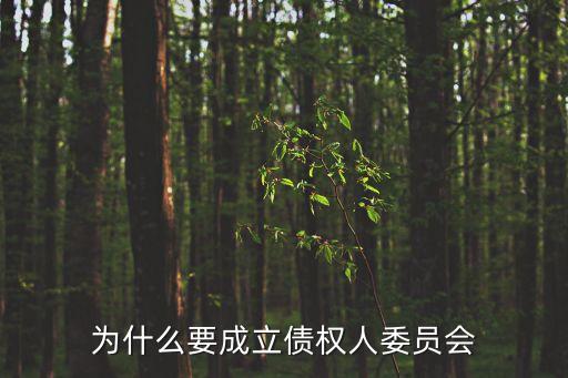 債權(quán)人委員會，債權(quán)人委員會有什么作用