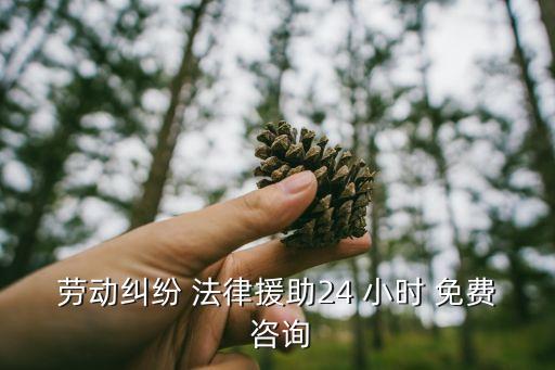 勞動(dòng)糾紛 法律援助24 小時(shí) 免費(fèi) 咨詢