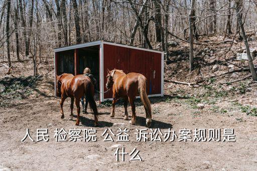檢察公益訴訟