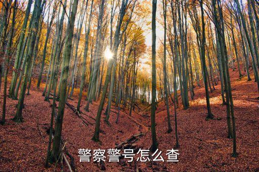 警察警號(hào)怎么查
