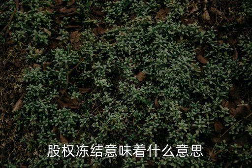 股權(quán)凍結(jié)，股份被司法凍結(jié)是什么意思