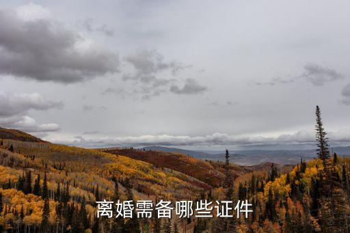 自愿離婚要帶什么證件，自愿離婚需要哪些證件