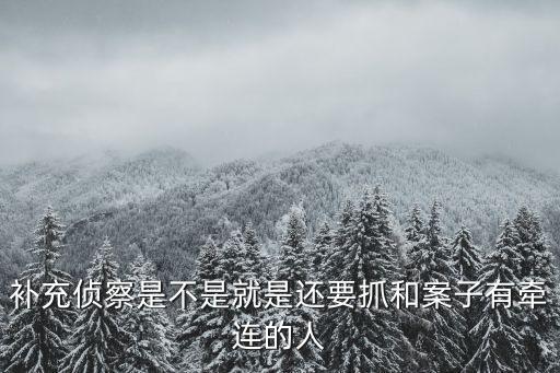 補(bǔ)充偵察是不是就是還要抓和案子有牽連的人