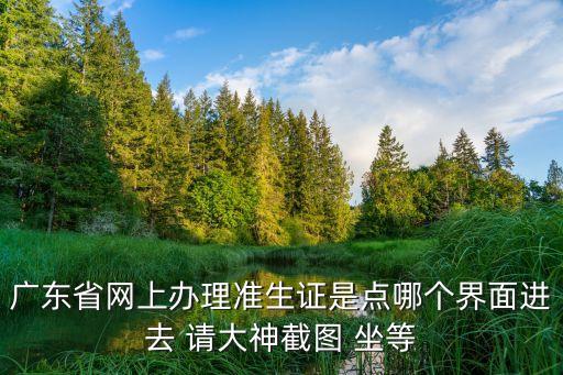 廣東省網(wǎng)上辦理準(zhǔn)生證是點(diǎn)哪個(gè)界面進(jìn)去 請(qǐng)大神截圖 坐等