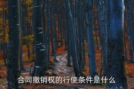 合同撤銷權(quán)的行使條件是什么