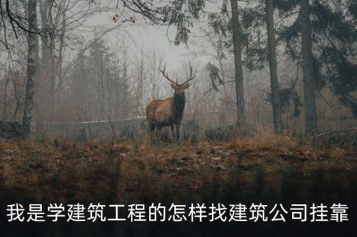 建筑掛靠，我是學(xué)建筑工程的怎樣找建筑公司掛靠