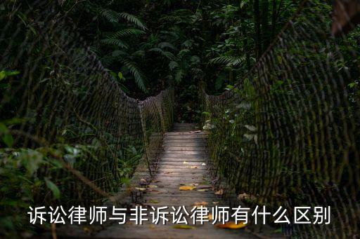 訴訟律師與非訴訟律師有什么區(qū)別