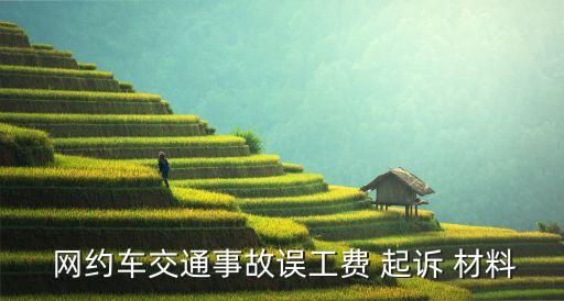 網(wǎng)約車起訴停運損失需要哪些材料,撞了網(wǎng)約車對方要我300一天