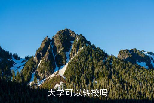  大學(xué)可以轉(zhuǎn)校嗎