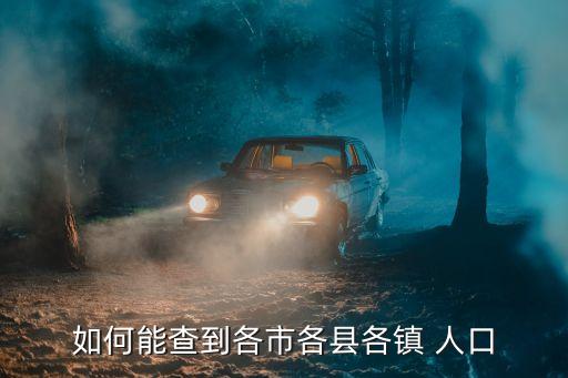 人口信息查詢,*常住人口信息查詢