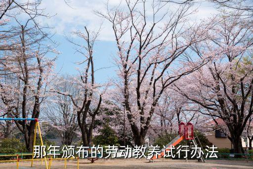 勞動(dòng)教養(yǎng)制度，那年頒布的勞動(dòng)教養(yǎng)試行辦法