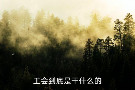 工會是干什么的，工會是做什么的