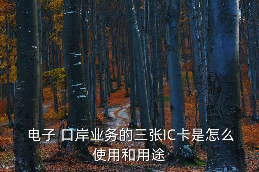 電子口岸ic卡,如何辦理海關(guān)電子口岸ic卡