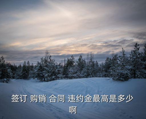 購(gòu)銷合同違約金的法律規(guī)定上限,違約金的法律規(guī)定上限 民法典