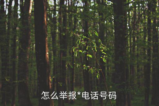 舉報*電話，反信息*投訴電話是什么