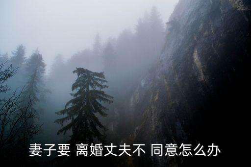 夫妻離婚一方不同意怎么辦,老婆鐵了心離婚我不想離咋辦