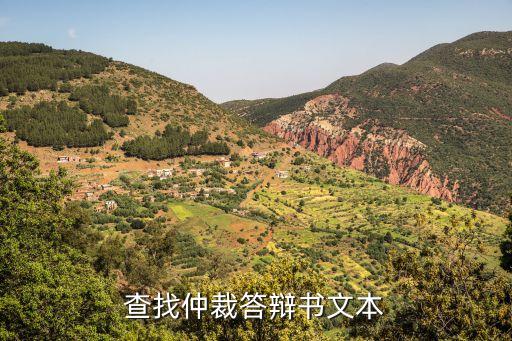 查找仲裁答辯書文本