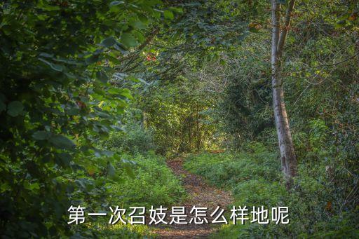 第一次*，第一次召妓是怎么樣地呢