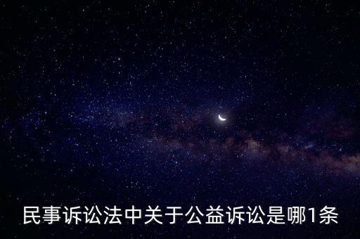 公益訴訟，民事訴訟法中關(guān)于公益訴訟是哪1條