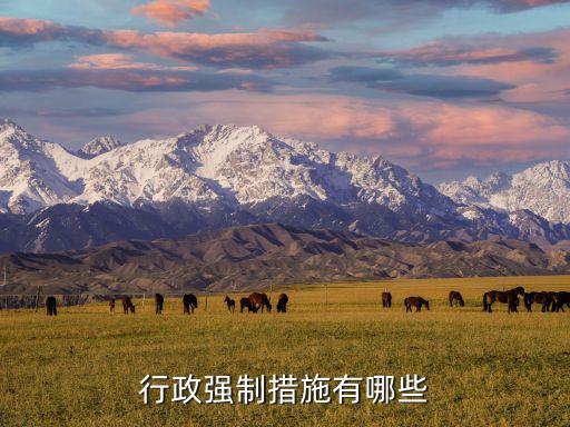 行政強制措施，行政強制措施包括哪些