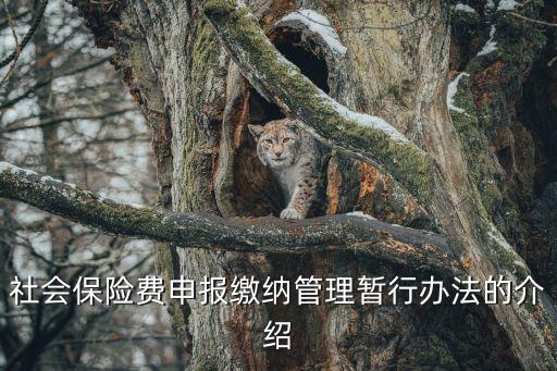 社會保險費申報繳納管理暫行辦法的介紹