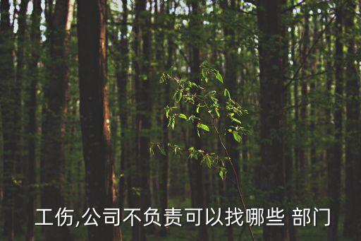 工傷老板不賠償找什么部門解決快,工傷求助熱線電話