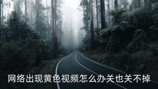 黃淫視頻，網(wǎng)友在我空間里發(fā)的黃色視屏怎樣刪除