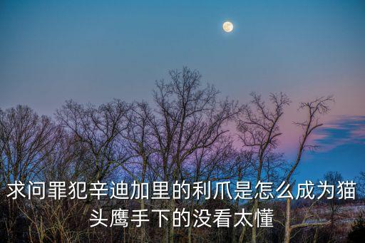 犯罪辛迪加，DC漫畫中第3號地球的超人和*俠被叫做甚么