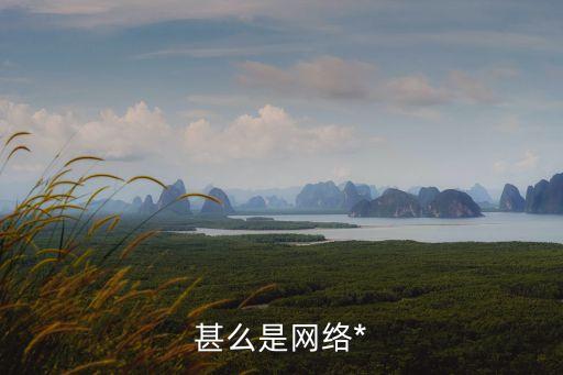 *網(wǎng)絡(luò)，甚么是網(wǎng)絡(luò)*