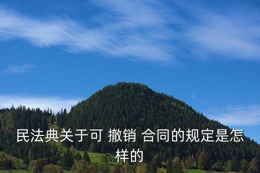 民法典關(guān)于可 撤銷 合同的規(guī)定是怎樣的