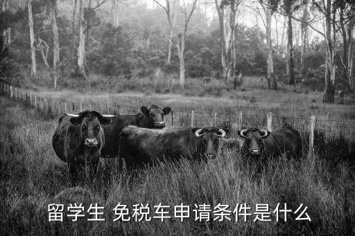  留學生 免稅車申請條件是什么