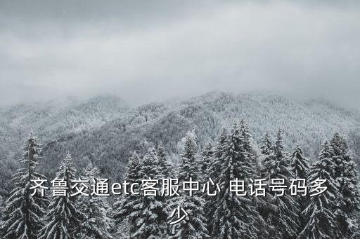 山東高速咨詢電話