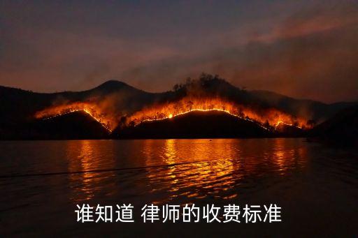 誰知道 律師的收費(fèi)標(biāo)準(zhǔn)