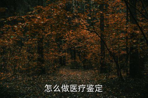 醫(yī)療鑒定，醫(yī)術(shù)鑒定是什么意思