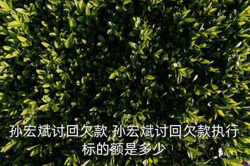 孫宏斌討回欠款 孫宏斌討回欠款執(zhí)行標的額是多少