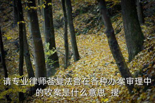 收案是什么意思，收案是什么意思