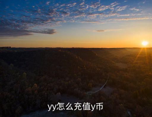 yy充值，YY幣在哪充
